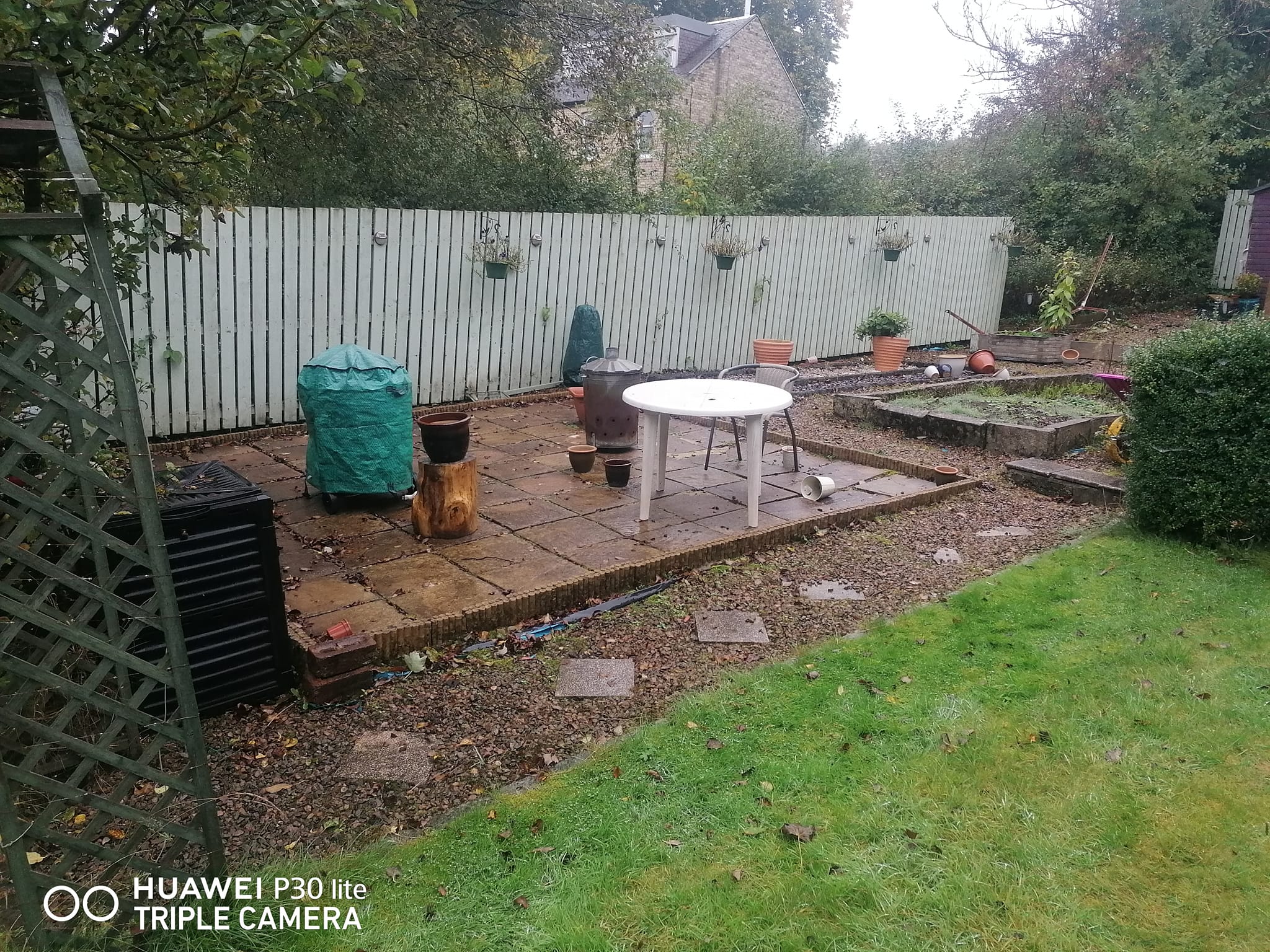 Garden before transformation