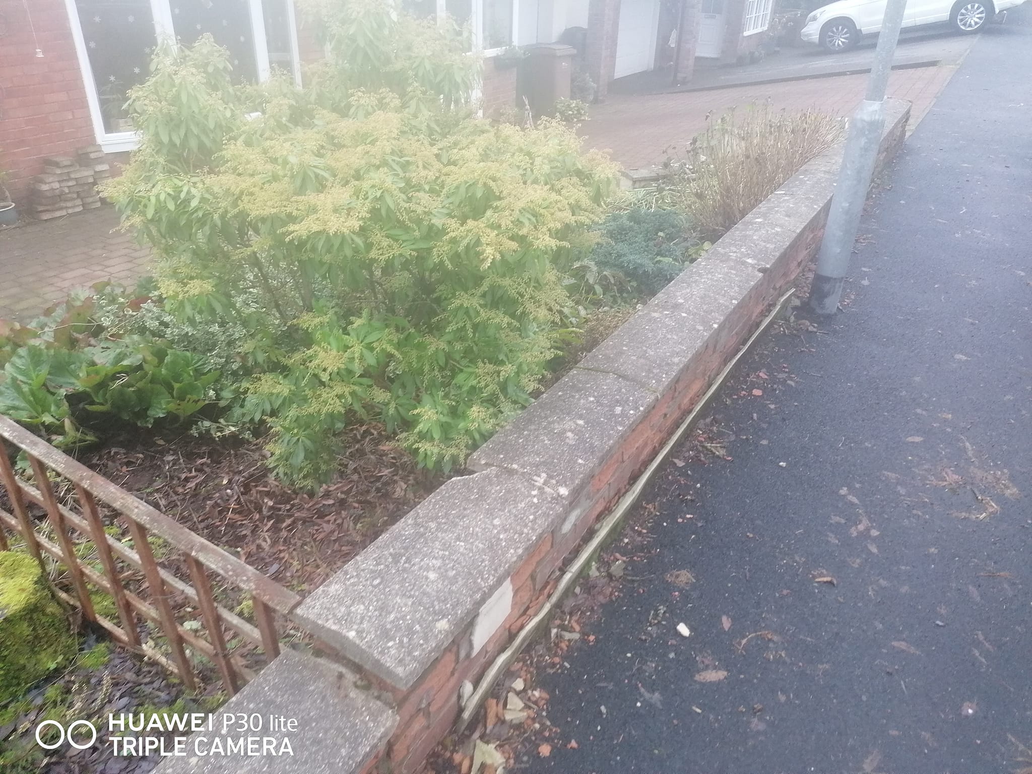 Front garden before - different angle