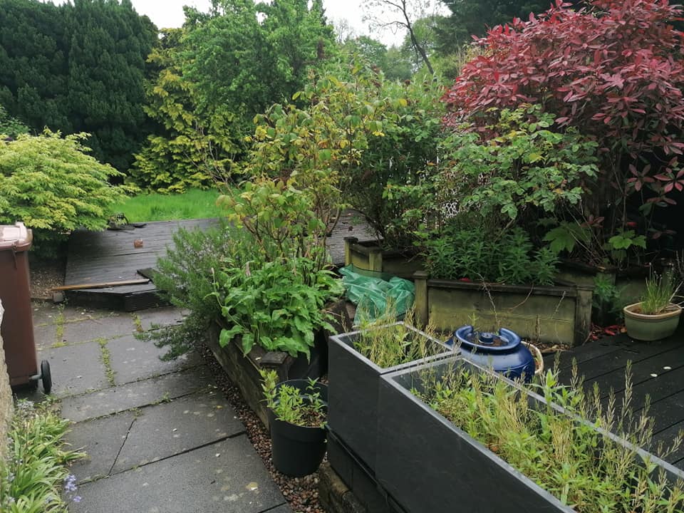 Old deck and raised beds before removal