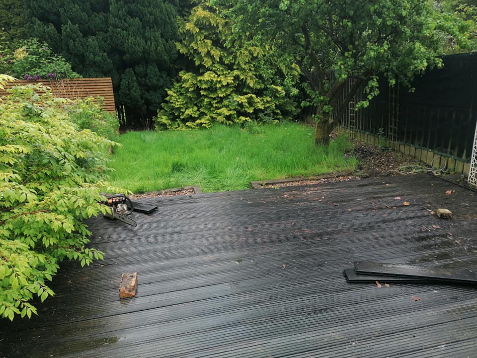 Garden before transformation - view 2